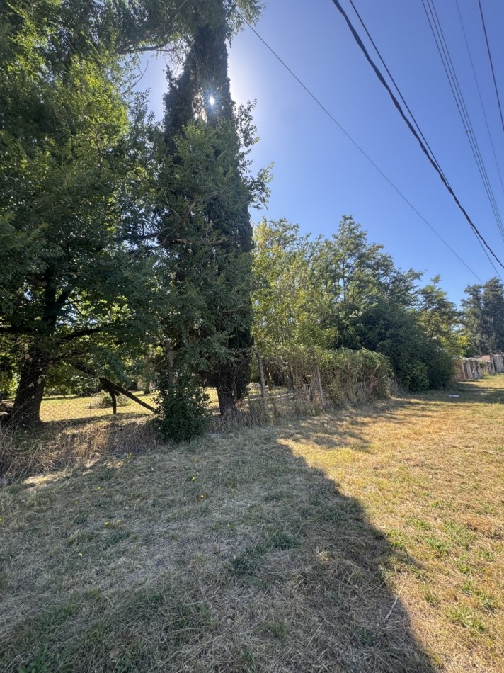 IMPORTANTE PREDIO DE 2 LOTES DE 3.366 MTS TOTALES EN ZONA COMERCIAL Y RESIDENCIAL
