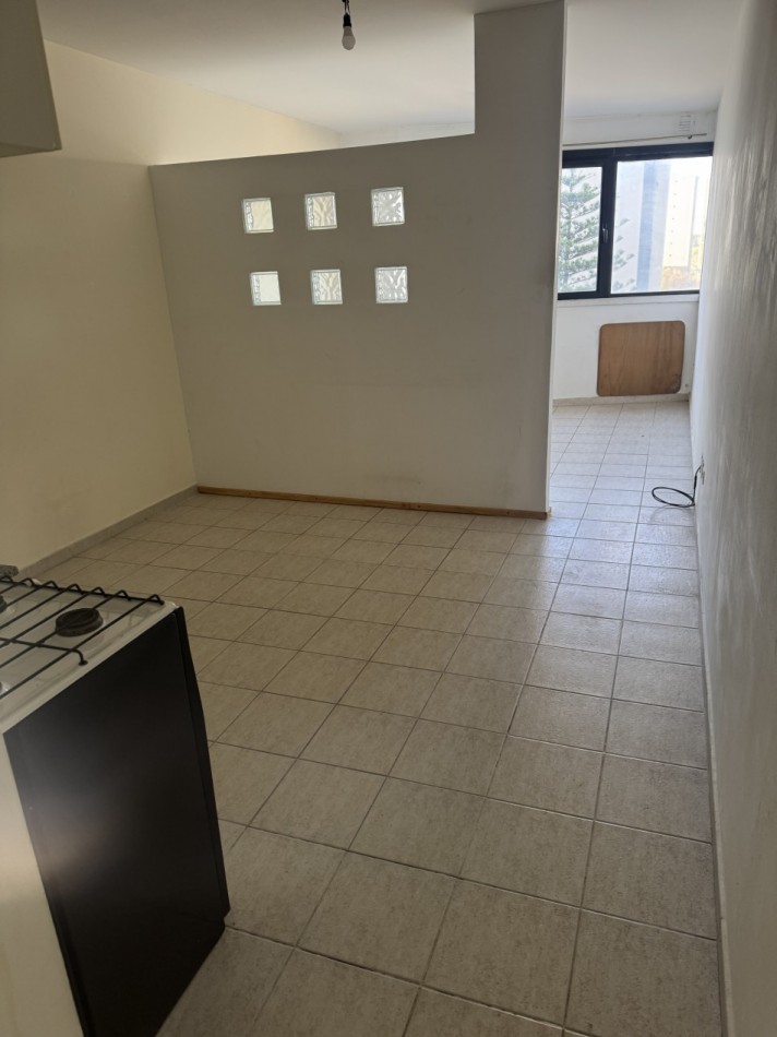 DEPARTAMENTO MONOAMBIENTE DIVIDIDO